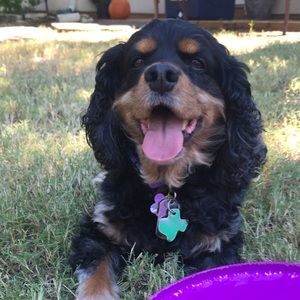 Meet your Posher, April